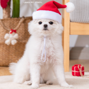 Mũ nón cho Chó Mèo nhiều hình dáng dễ thương (Mẫu mới) - Hara Pet Store