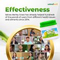 SBG Salveo Barley Grass Powder Original in Jar 280 grams - Boost your Health and Immunity Effectively FDA Approved. 