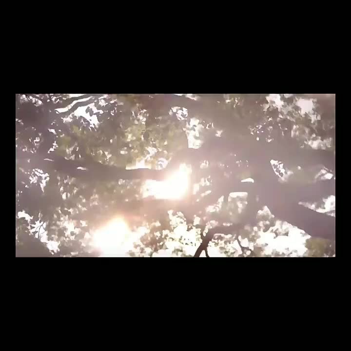 LZD Natural Indonesian Rattan Rattan Rattan Core Rattan opposite Rattan