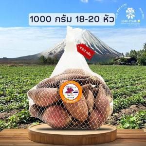 Oishi-Fresh มันหวานญี่ปุ่น 🍠ไซต์ Snack 🍠🇹🇭ปลูกไทย🇹🇭 แบบดิบ🍠เนื้อเหลืองนุ่ม หอมหวาน 1 กิโลกรัม จัดส่ง 24 ชม.