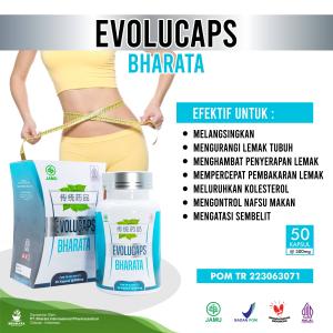 Evolucaps Bharata Obat Herbal Pelangsing