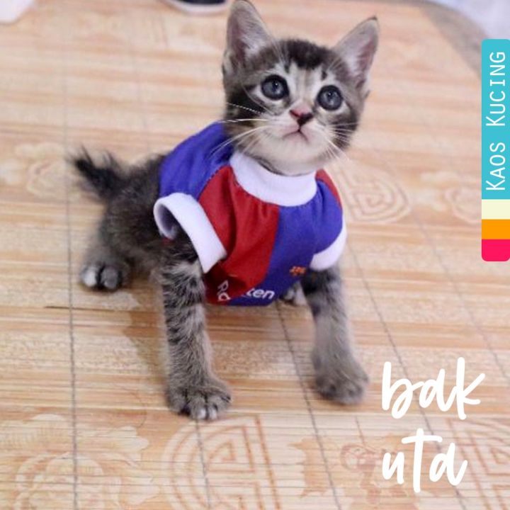 Kaos Jersey fc barcelona untuk kucing dan anjing baju jersey