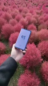 FPS PREMIUN S-Korea Weight control韩国燃脂/Slimming/FreeShipping/ PLYLATER/FreeGift