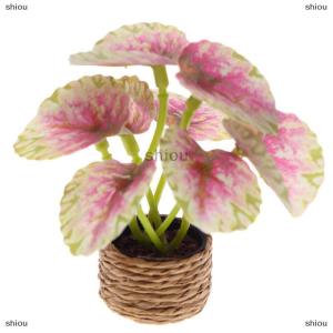 [COD] shiou 1 12 Dollhouse mô phỏng màu xanh lá cây cây trong Chậu mô hình Dollhouse Mini vườn trang trí đồ chơi vi cảnh quan cây cảnh trang trí
