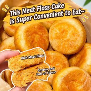 Crispy Meat Floss Pastry Savory Pork Floss Cake Thin Crust Rich Filling Asian Snack Chinese Pastry Breakfast Treat Ready To Eat