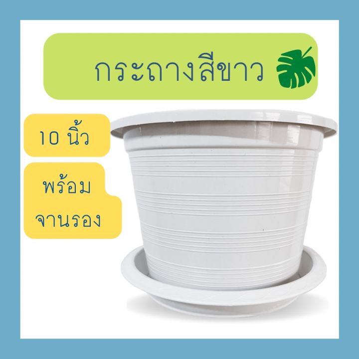 ชุดกระถางต้นไม้สีขาวพร้อมจานรอง ขนาด 10 นิ้ว