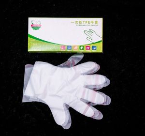 TPE Film Disposable Gloves Food Grade/Oil Proof Durable Soft/Food Prep Kitchen Cleaning/For Family Sensitive Users