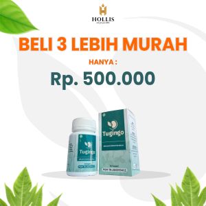 Obat Herbal Batu Ginjal Tugingo Paket Hemat Original BPOM Halal Cina Paling Yang Ampuh Tanpa Operasi Dan Sakit Pinggang