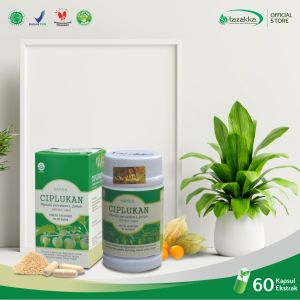 Kapsul Ciplukan Obat Jantung Koroner Herbal Antioksidan