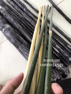 Que mây tự nhiên nguyên vỏ - cây mây không qua xử lý vỏ dài 80cm đường từ 7mm trở lên - cây mây dẻo dai độ bền cao