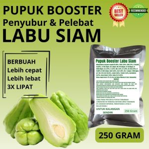 Pupuk Booster Labu Siam / Obat Booster Labu Siam / Pupuk Booster Labu Siam / Pupuk Labu Siam