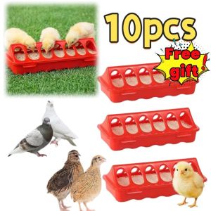 10Pcs New 12 Holes Pigeon Feeder Double-Sided Breeding Farm Quail Chicken Duckling Poultry Feeder Tools
