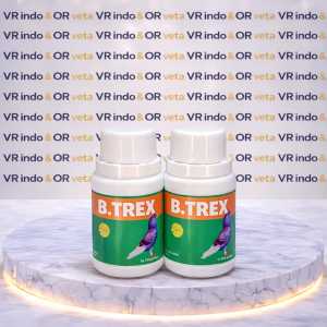 B.TREX BARON ORIGINAL BTREX BURUNG MERPATI LATIHAN STAMINA SPRINT
