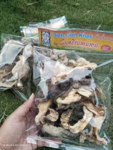 Kerupuk Kulit Ikan Remang dapat 3 bungkus kemasan 40gram - Kerupuk ikan untuk cemilan rasa gurih Natural - makanan ringan produk halal