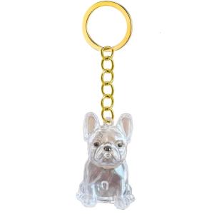 Clear Pet Hair Preservations Keychain Memorial Display Case With Securedly Seal Pet Loss Keyring Design