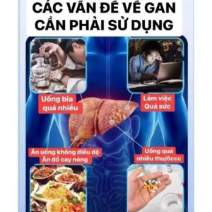 Miếng Dán Bảo Vệ Gan F-Type – Thanh Nhiệt Thải Độc Hỗ Trợ Chức Năng Gan Hiệu Quả Hộp 10 miếng