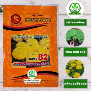 Hạt Giống Hoa Vạn Thọ Mỹ F1 Cao Lỡ Vàng Chanh SUPER B2 RỒNG VÀNG (Gói 1gr) - Date mới 2028