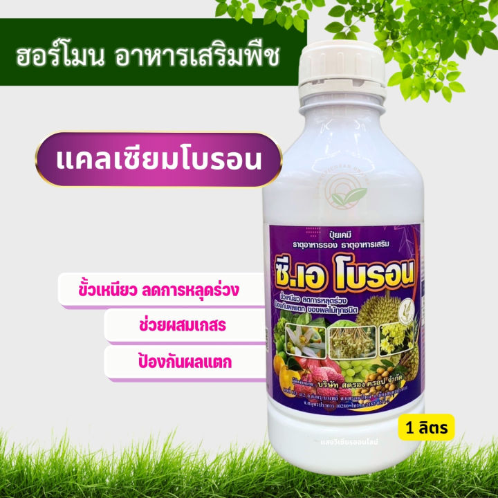 ซี.เอ โบรอน แคลเซียมโบรอน เร่งดอก เนื้อแน่น