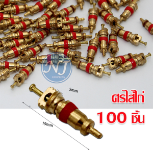 ลูกศร ศรไส้ไก่ ลูกศรจุ๊บยาง ไส้ศรวาล์ว ชนิดทองแดงบริสุทธิ์ ลมจักรยาน มอไซค์ รถยนต์ ไส้ศร ไส้วาล์ว ที่ขันศร ขันศร