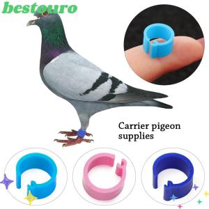 BESTOURO 100 Pcs Useful Animal Bird Rings Clip Poultry Leg Band