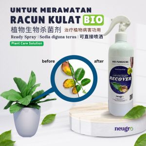 Neugro RECOVER 500ml Racun Kulat Menyembuhkan Penyakit Kulat Bakteria Tanaman (Sama Amistar Antracol) Bio Fungicide To Help Recover From Plant Disease