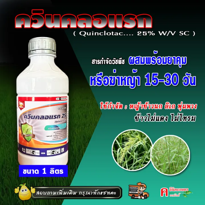 ควินคลอแรก 1 ลิตร (ฟาเซ็ท) กำจัดหญ้าข้าวนก หญ้าลิเก ข้าวไม่โทรม