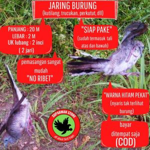 JARING BURUNG10 PERKUTUT JARING BURUNG KUTUT JARING BURUNG PERKUTOT JARING BURUNG KUTOT JARING PERKUTUT JARING NILON JARING BURUNG PERKUTUT JARING MURAH JARING PERKUTUT MURAH JARING 2 INCI JARING 2 IN JARING MURAH JARING SIAP PAKE JARING BURUNG BESAR JALA