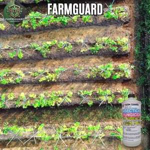 FARMGUARD 2-IN-1 ORGANIC INSECTICIDE & FUNGICIDE [ FARM GUARD Premium] [500ML - 2000ML]
