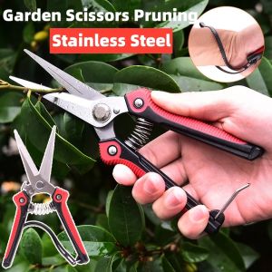Pruning Shears Gardening Tools Garden Scissors Tree Cutter Branch Prune Pemotong Dahan Gunting Pokok Bunga