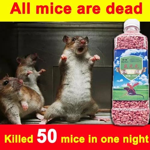 ♬rat killer poison lure that mice like to eat mouse rat trap cage pest control mice mouse trap