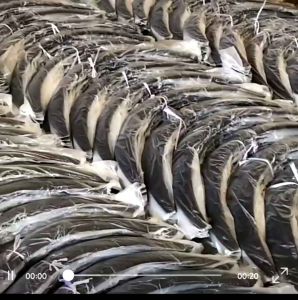 คิ้วล้อ คิ้วบังโคลนล้อรถ สีดำ-แคปล่า ตัดแต่งแปลงใส่ได้แทบทุกรุ่น กะบะ-เก๋ง