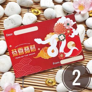 Card CNY 10x15 Imlek Kartu Ucapan Year of Snake Ular 2025 Amplop Chinese New Year Souvenirs Hampers