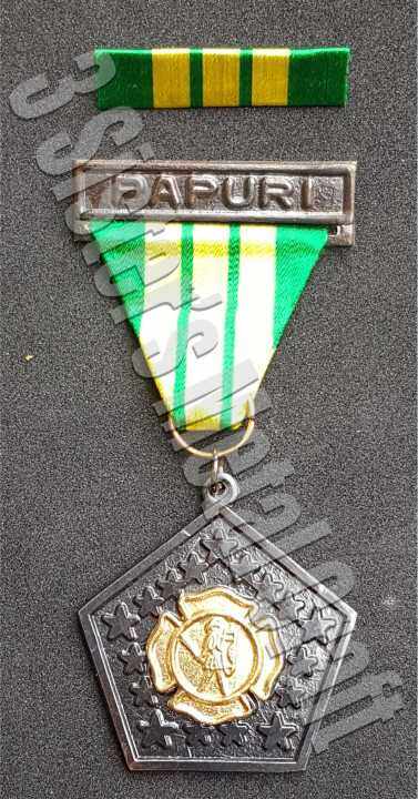 Gold cross medal 2025 pnp