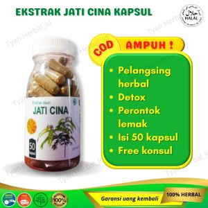 Daun jati cina menurunkan berat badan ampuh suplemen diet alami penghilang lemak perut buncit langsing pelancar BAB isi 50 kapsul