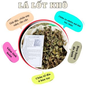 Một kg cây lá lốt khô và Công dụng tuyệt vời của lá lốt cho sức khỏe