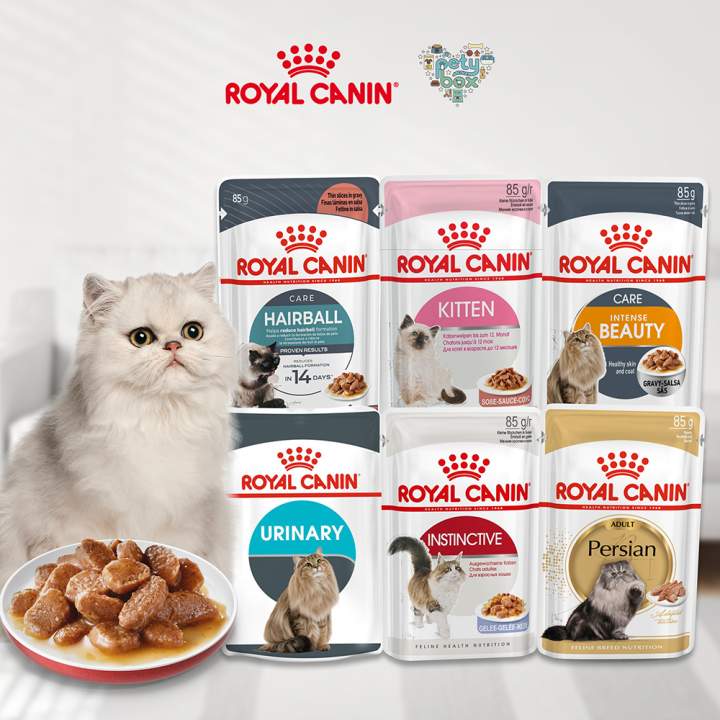 Vomit Wet Food Gives My Cat Diarrhea Shop Change Cat Food Vomit