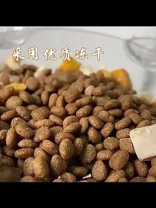 Freeze-Dried Cat Food 10 Packaged Cat 5kg Kitten Raw Meat Supplement Nutritional Delicious Complete Food 20 Universal Large Bag Hot