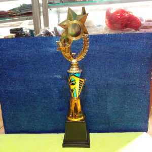Piala Lomba Juara 1 2 3 4 (N0.7 BODY BIRU RASER) "costum" FREE STICKER (BOLEH satuan)TERMASUK SETICKER DAN FREE DESIGN