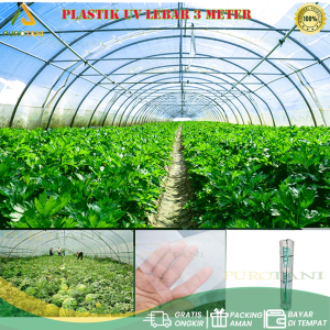 Plastik Ultra Violet UV Lebar 3 M Hidroponik Green House Merk Juara