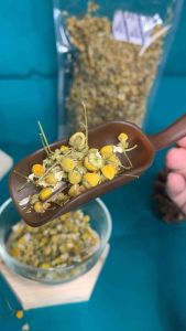 Pure Chamomile Original Premium Ready Stock Dried Flower Herbal 500gr Tumbuhan Daun Bunga Kamomil Tea Relax Deep Sleep Murni Ori
