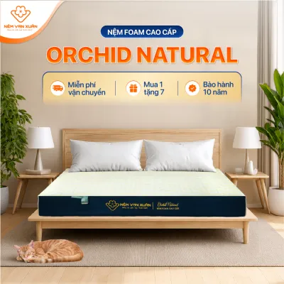 [HOẢ TỐC HCM] Nệm Foam Cao Cấp Vạn Xuân Orchid Natural Định Hình Cột Sống Nâng Đỡ Cơ Thể Phù Hợp Với Người Lớn Tuổi Đau Lưng Đau Cột Sống