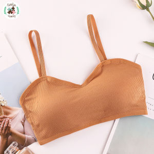 Fin Fin เสื้อใน สปอร์ตบรา ลายเส้น ไร้โครง ไร้ขอบ มีฟองน้ำในตัว เก็บทรง 32-38 ชุดชั้นใน ผู้หญิง แฟชั่น