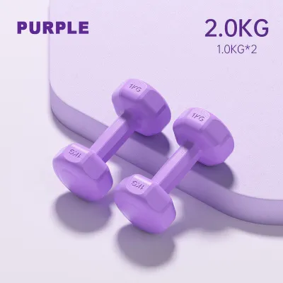 1kg/2kg/3kg Womens Dumbbell Hexagonal Dumbell Gym Fitness Exercise Family Weight Training Exercise Dumbbells Set 1kg/1.5kg/2kg/3kg Training Workout Neoprene Dumbell