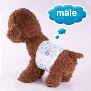 [COD]1 Paket Pet Diapers Popok Anjing Popok Diapers Anjing Kucing/Popok Anjing Jantan Betina Anti Marking/Popok Celana Dalam Diapers Loop Mens