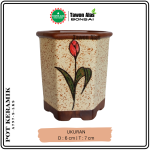 Pot Bonsai Keramik Mame Segi Enam Unik