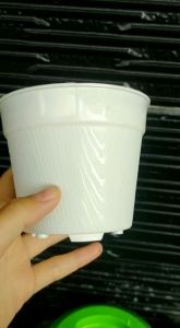 Bunga Hias Murah & Variasi Warna