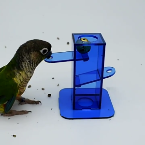 Bird Foraging Toy Clear Acrylic Box with Metal Bell Interactive Training Toy for Parrot Parakeets Cockatiels Conures