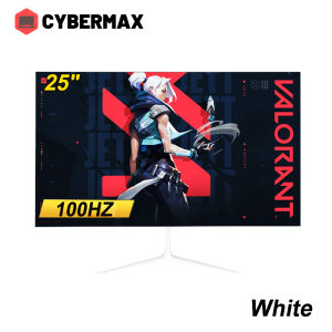 YGT 25 Inch Gaming Monitor 100HZ FHD 1920*1080P Flat Framless Computer Monitor For PC Laptop