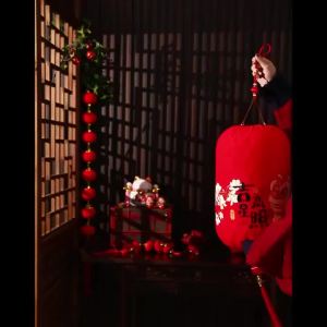 2026 CNY Auto-Sensing Lantern LED Red Hanging Palace Lantern Pair for Door Balcony Festive Decor