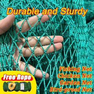 【Bold】50/100M Chicken Net Range Net For Chicken Lambat Outdoor Defense Bird Net Poultry Net Durable